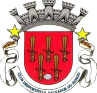 老虎大学